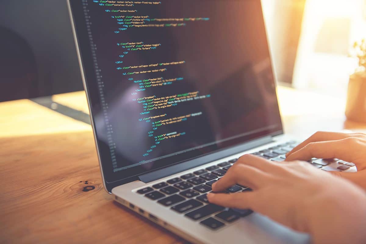 Programador